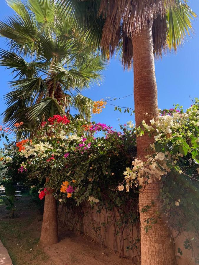 Les Terrasses Du Lac Marrakech Лалла-Такеркуст Екстер'єр фото